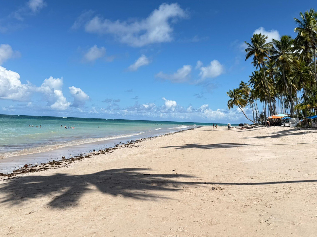 Briza Beach Club Carneiros-Tamandare必去景点