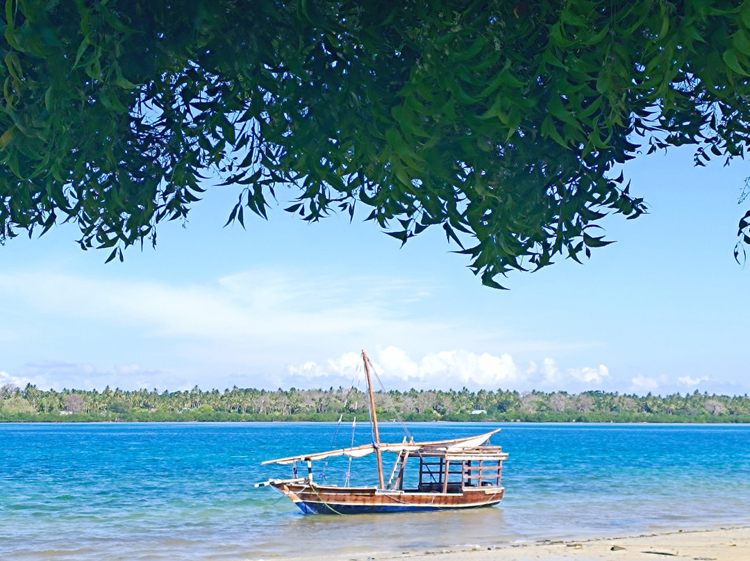 Mafia Whale Shark Tours-Kilindoni必去景点
