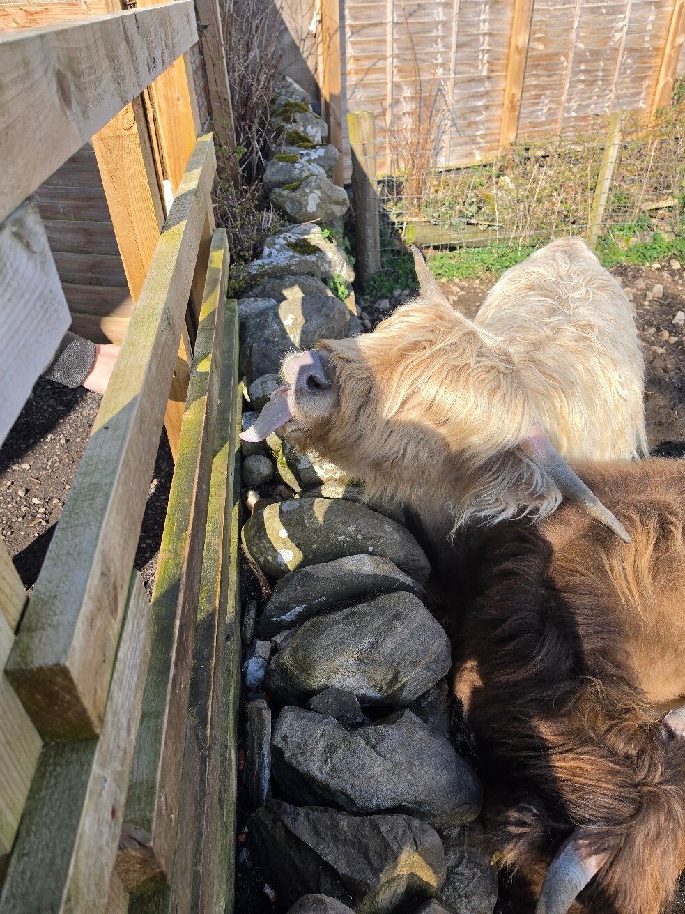 Drumbuie Farm-官方