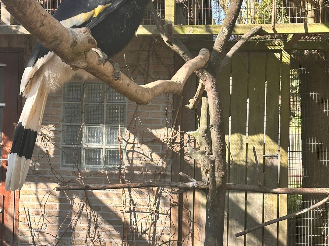 Vogelpark Avifauna-Alphen aan den Rijn必去景点