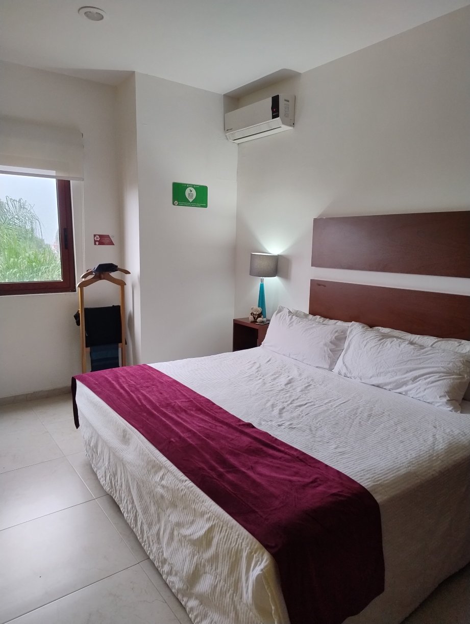 埃亚之家酒店-客卧