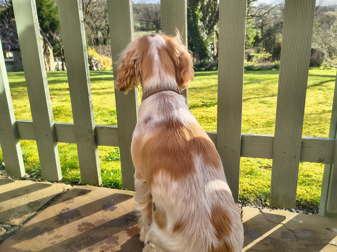 彭伯特布雷恩奢华住宿加早餐旅馆主图