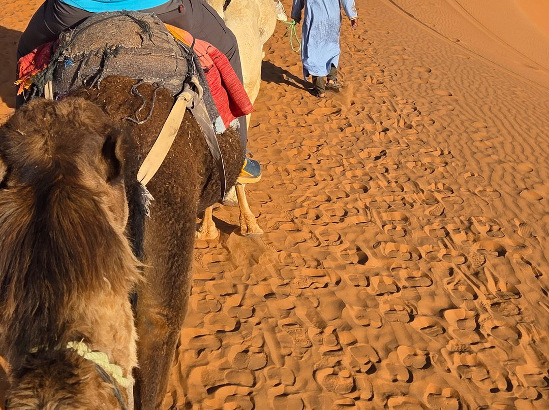 Wild Desert of Morocco-卡萨布兰卡必去景点