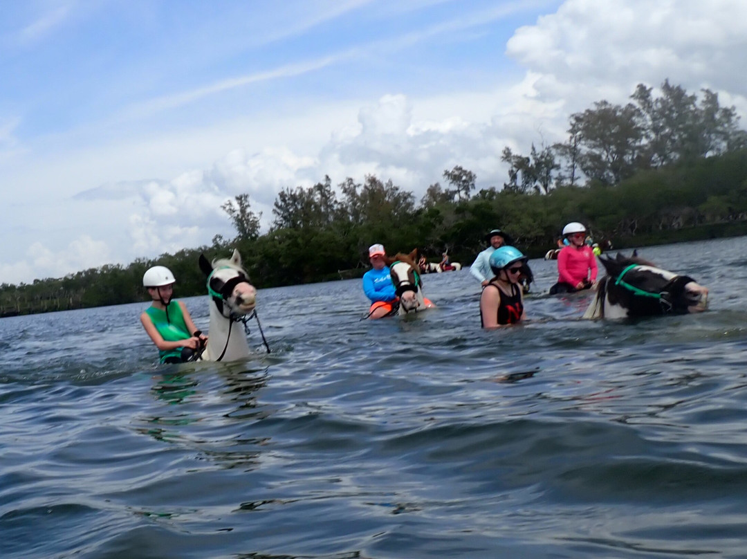 C Ponies Beach Horseback Rides-布雷登顿必去景点