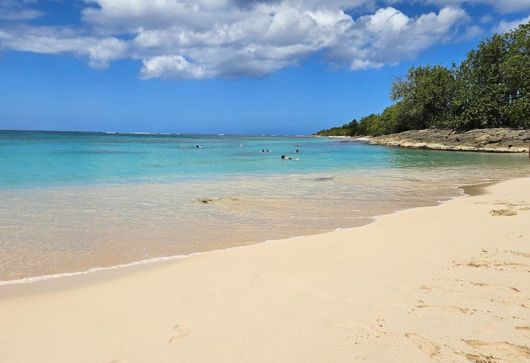 Anse du Souffleur-Port-Louis必去景点