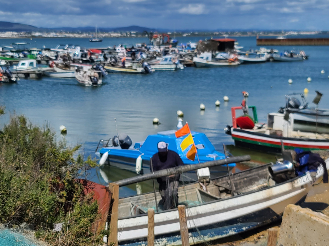 Rota das Ilhas - Boat Tours-奥良必去景点