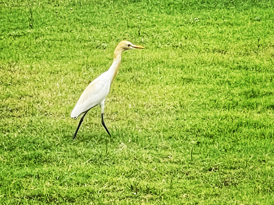 Sarovar Portico - Sriperumbudur