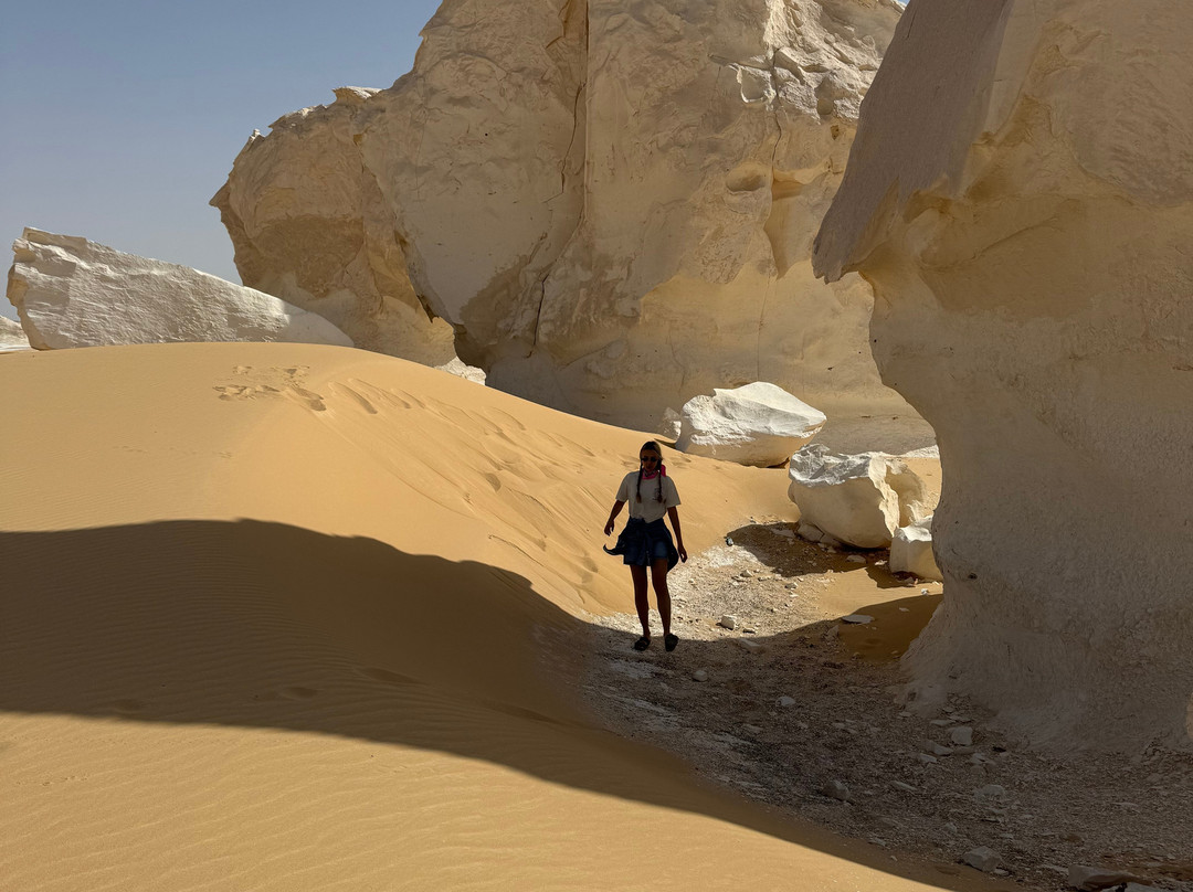 Cairo Top Tours-开罗必去景点