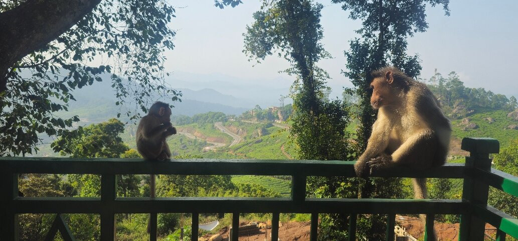 海悦山马辛德拉俱乐部主图