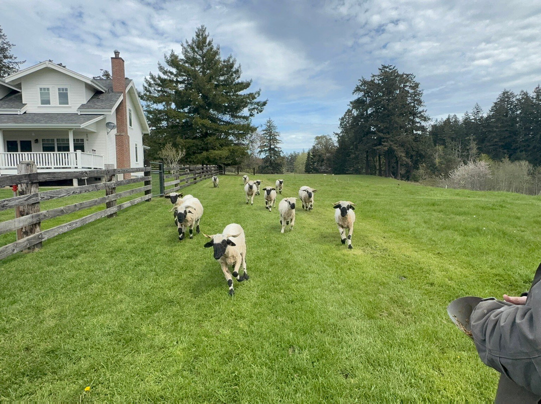 Amaro Farm-星期五港湾必去景点