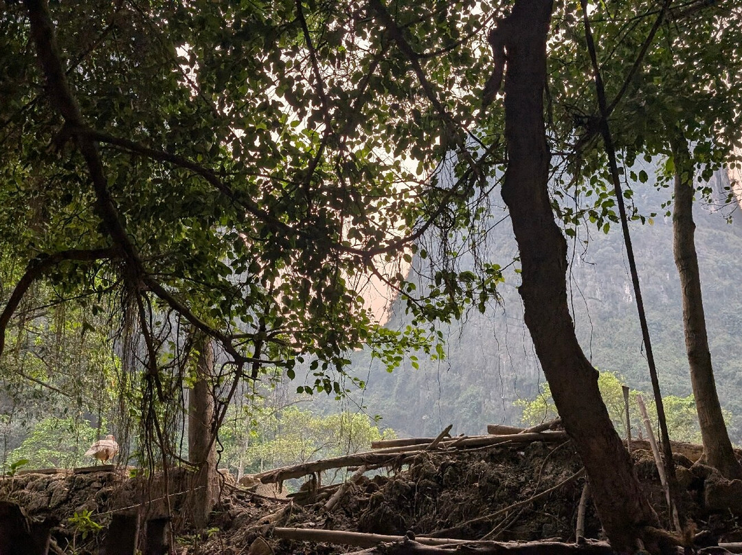 Dundj Valley-宁平必去景点