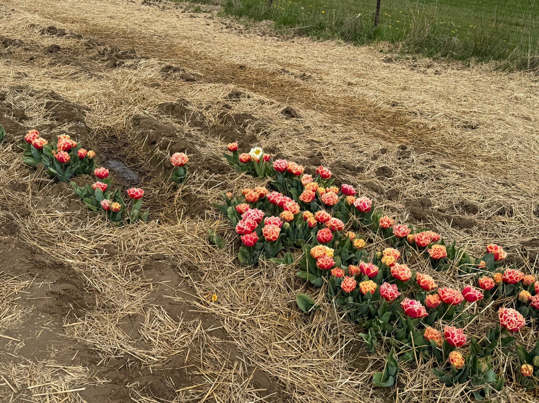 Krewelshof-Lohmar必去景点