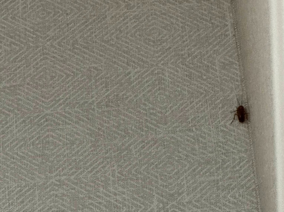 帕索罗布尔斯酒店主图