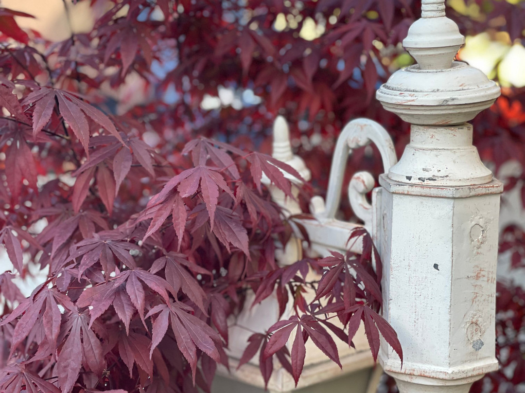 斯里纳格雪地酒店主图
