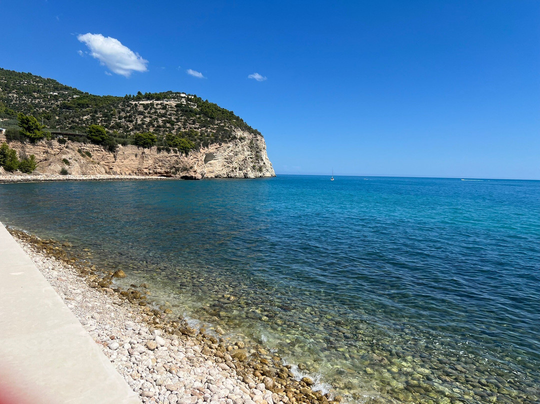 房子和母马酒店主图