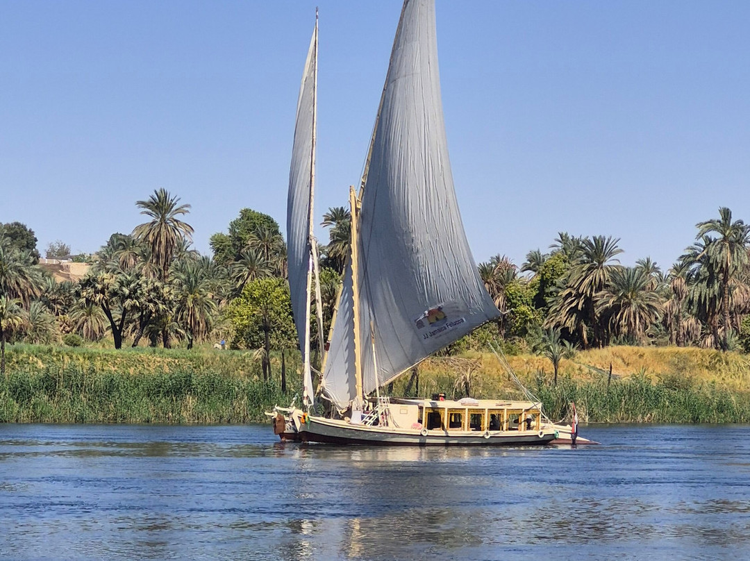 Hamdy Cook Felucca-亚斯文必去景点
