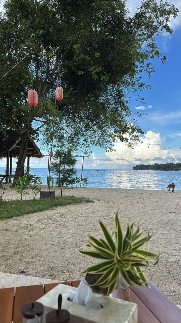 吉利龙目岛阿内玛健康别墅及水疗-旅行者