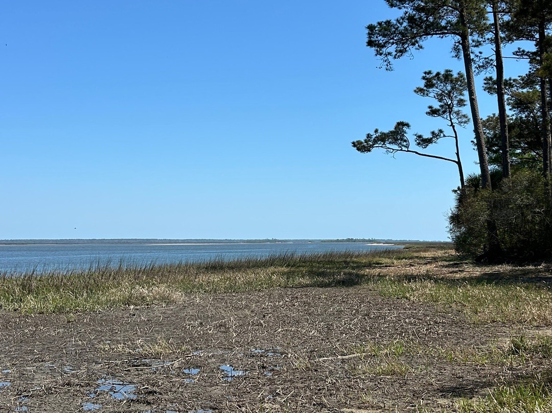 Harris Neck National Wildlife Refuge-萨凡纳必去景点