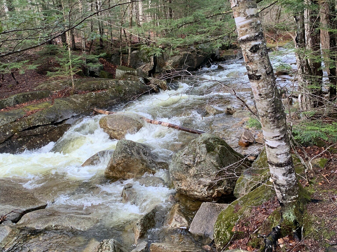 Screw Auger Falls-Newry必去景点