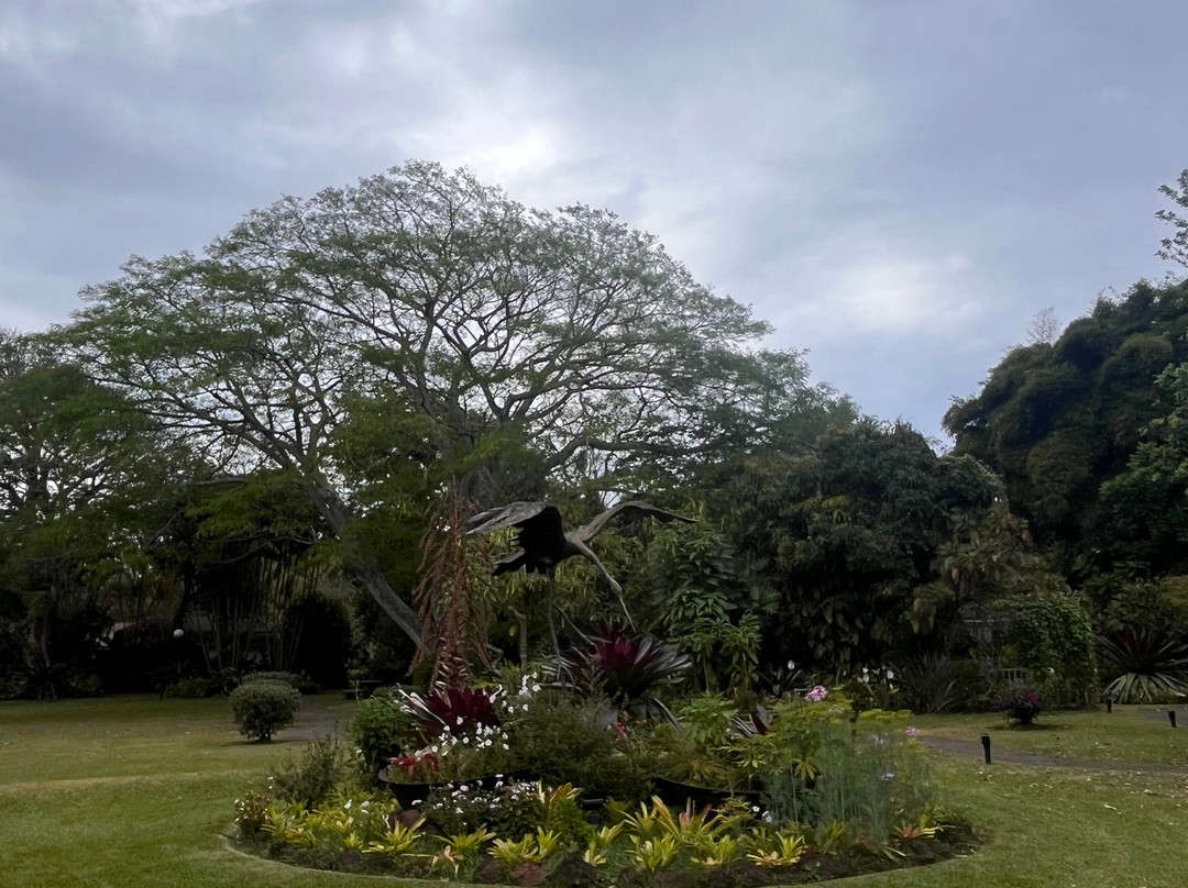 Bougainvillea Hotel