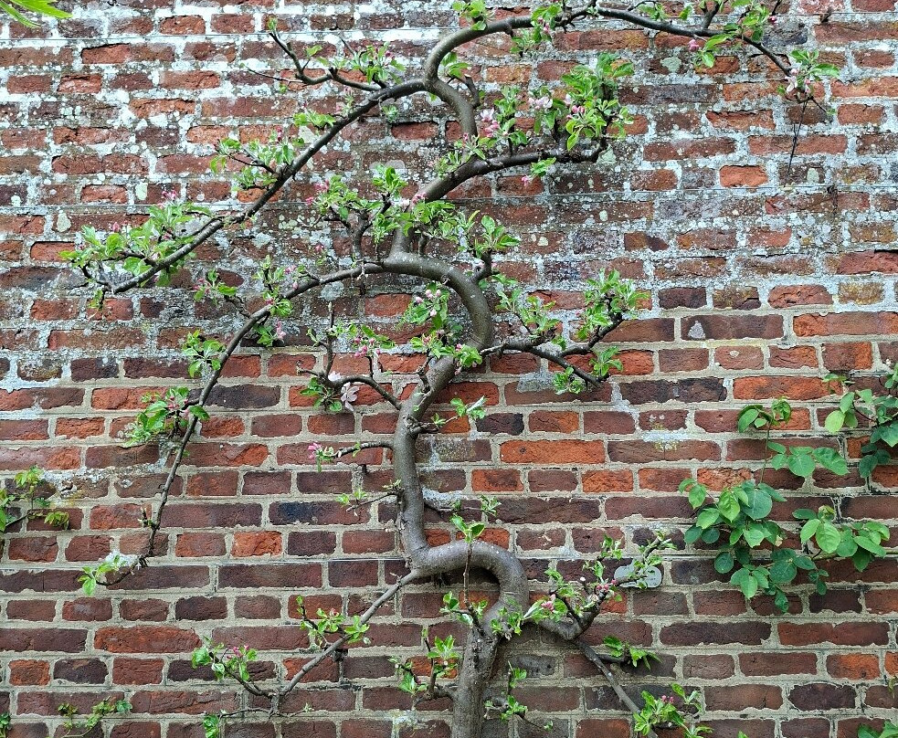 Houghton Hall and Gardens-Houghton必去景点