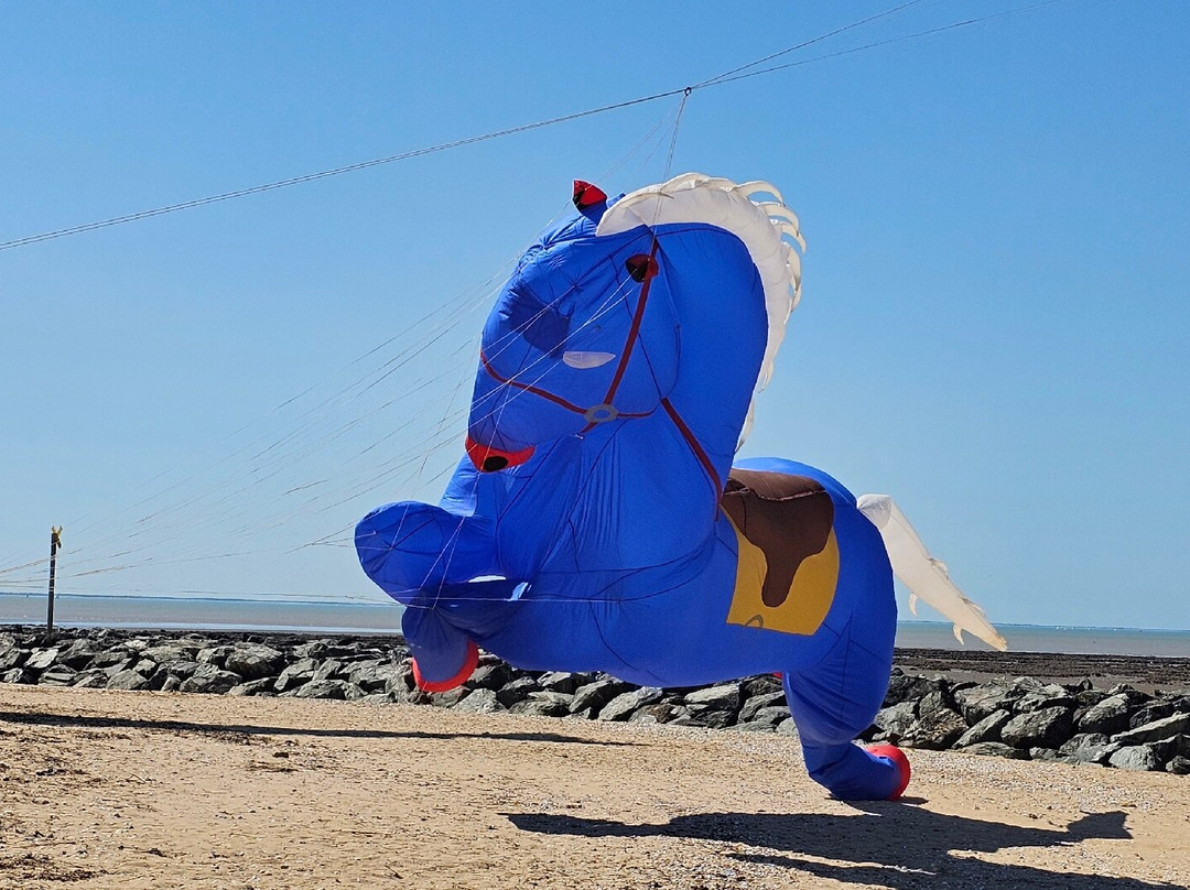 Plage de Châtelaillon-Chatelaillon-Plage必去景点
