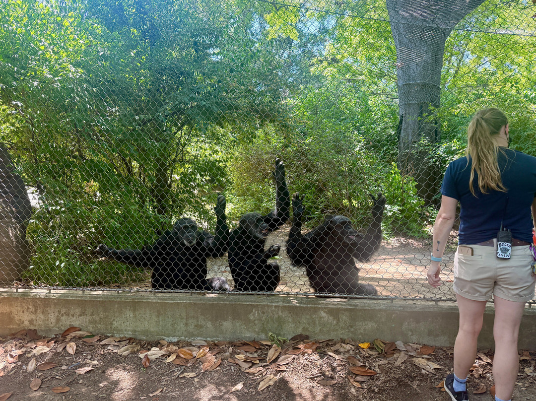 Chattanooga Zoo-查塔努加必去景点