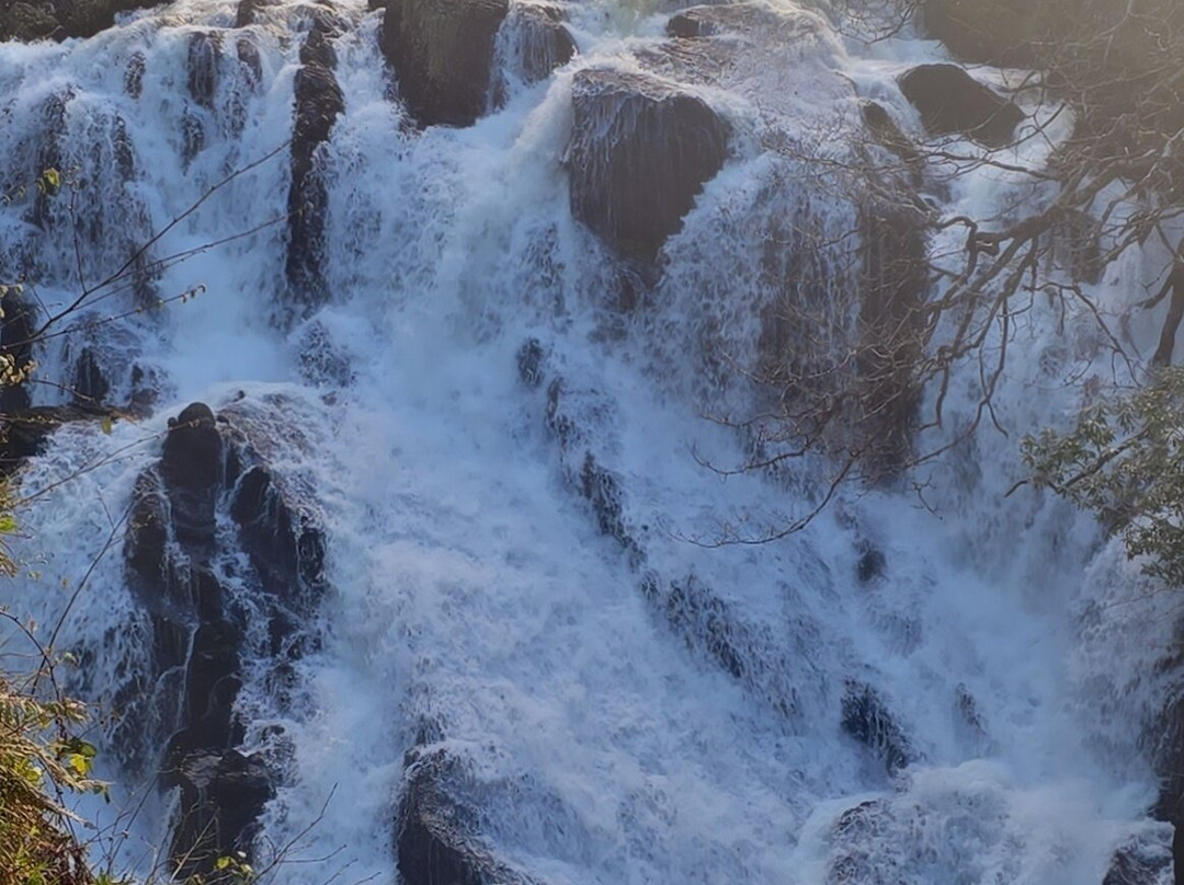 Swallow Falls-Betws-y-Coed必去景点