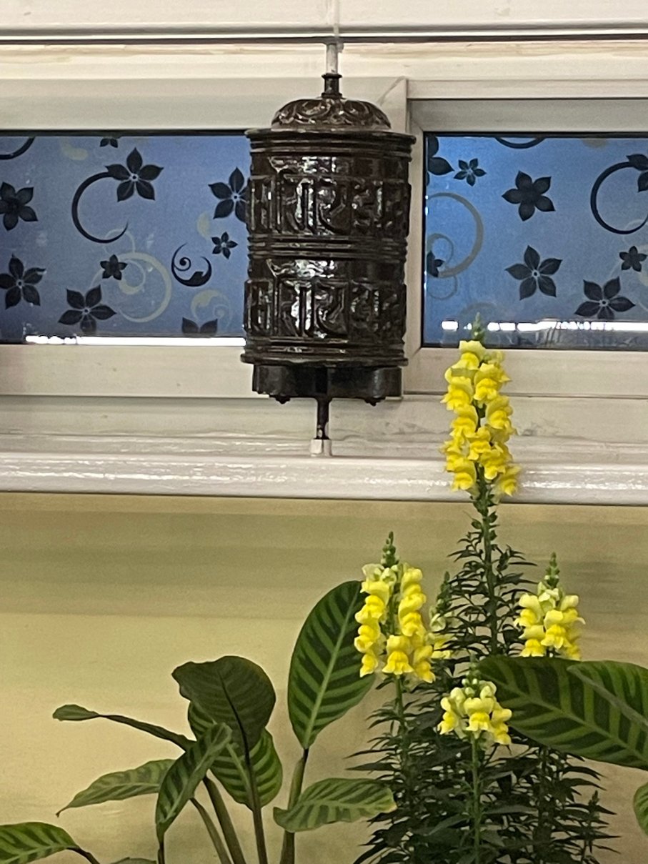 阿雅塔拉加德满都酒店-旅行者