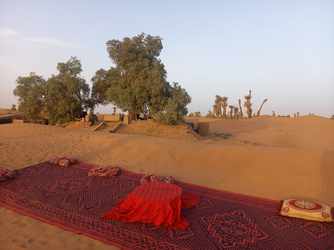 Desert Maroc Tours - Day Tours-扎古拉必去景点