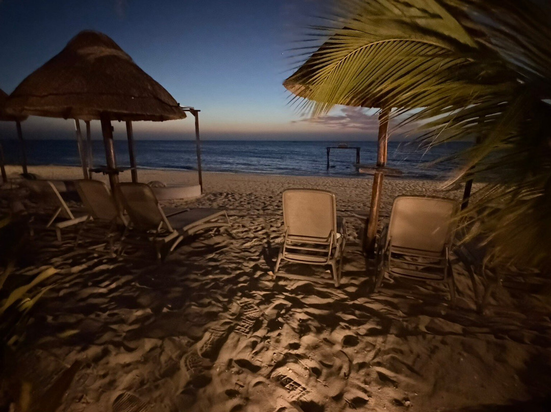 Totem Beach Club-塞莱斯顿必去景点