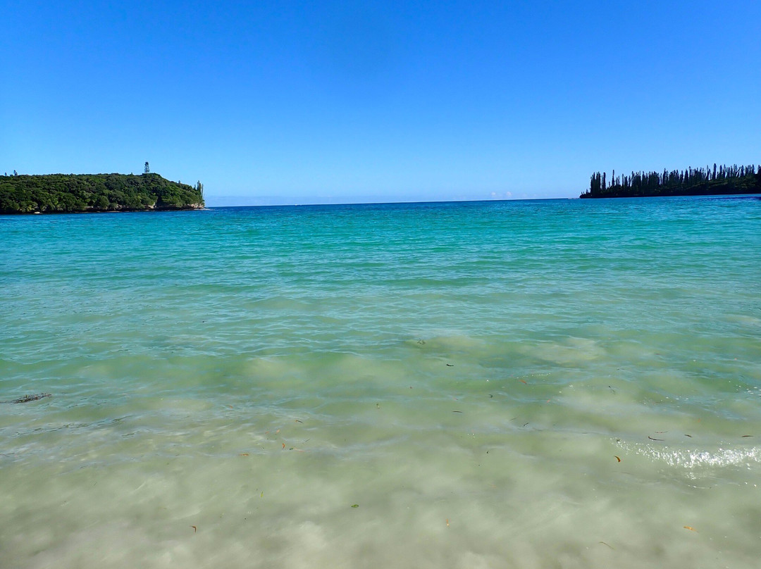 Aquarium des Lagons Nouvelle Caledonie-努美阿必去景点
