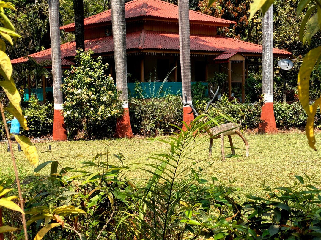 Waghai Botanical Garden-Saputara必去景点