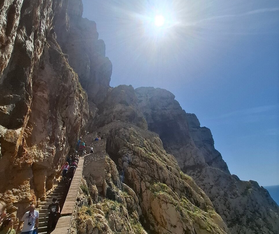 Frecce delle Grotte S.R.L-阿尔盖罗必去景点