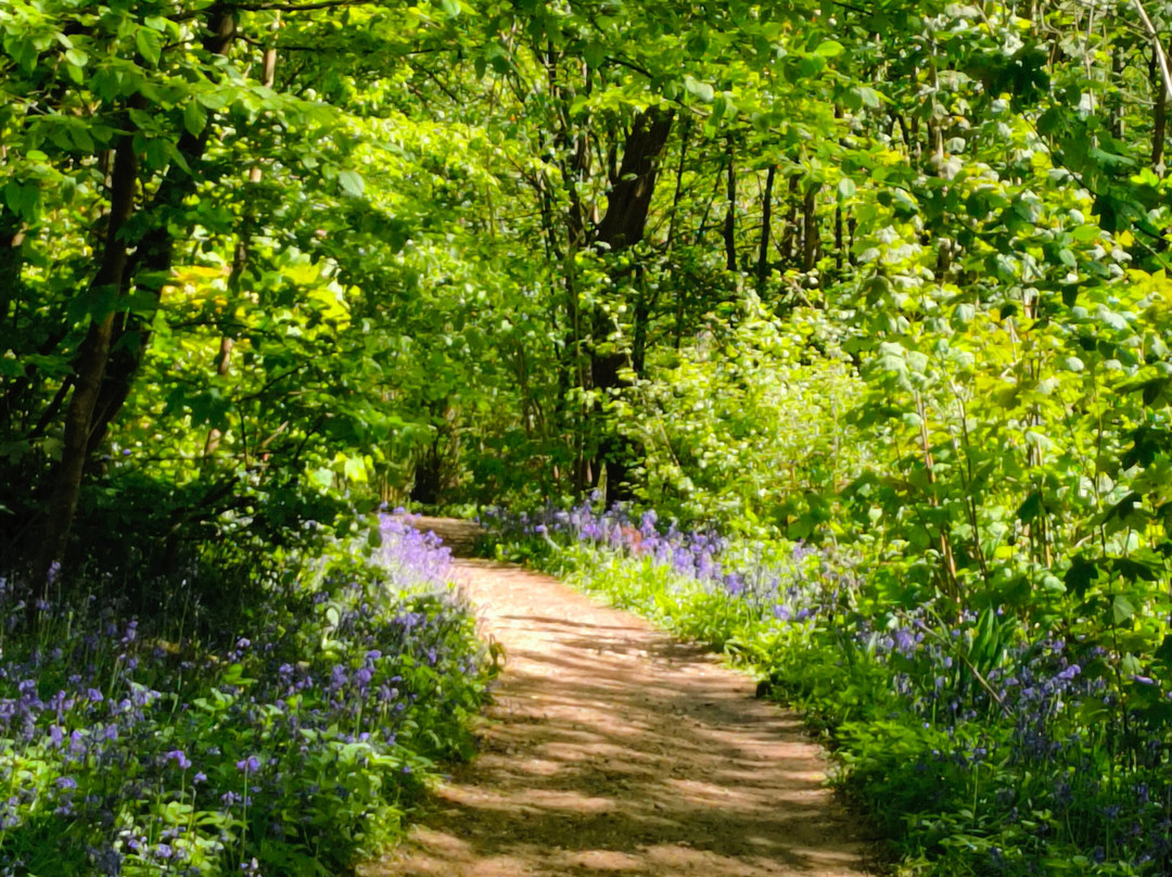 Hole Park Gardens-Rolvenden必去景点
