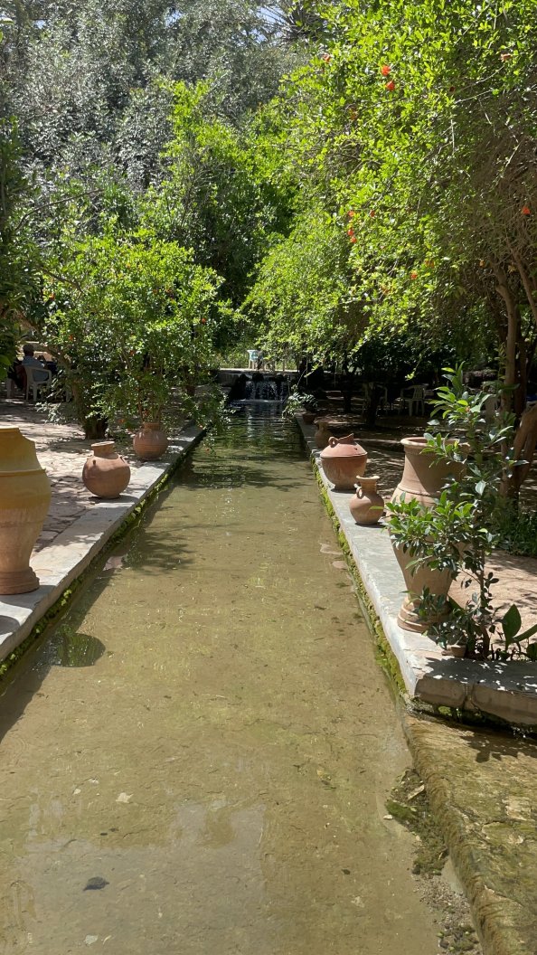Oasis de Tiout-旅行者