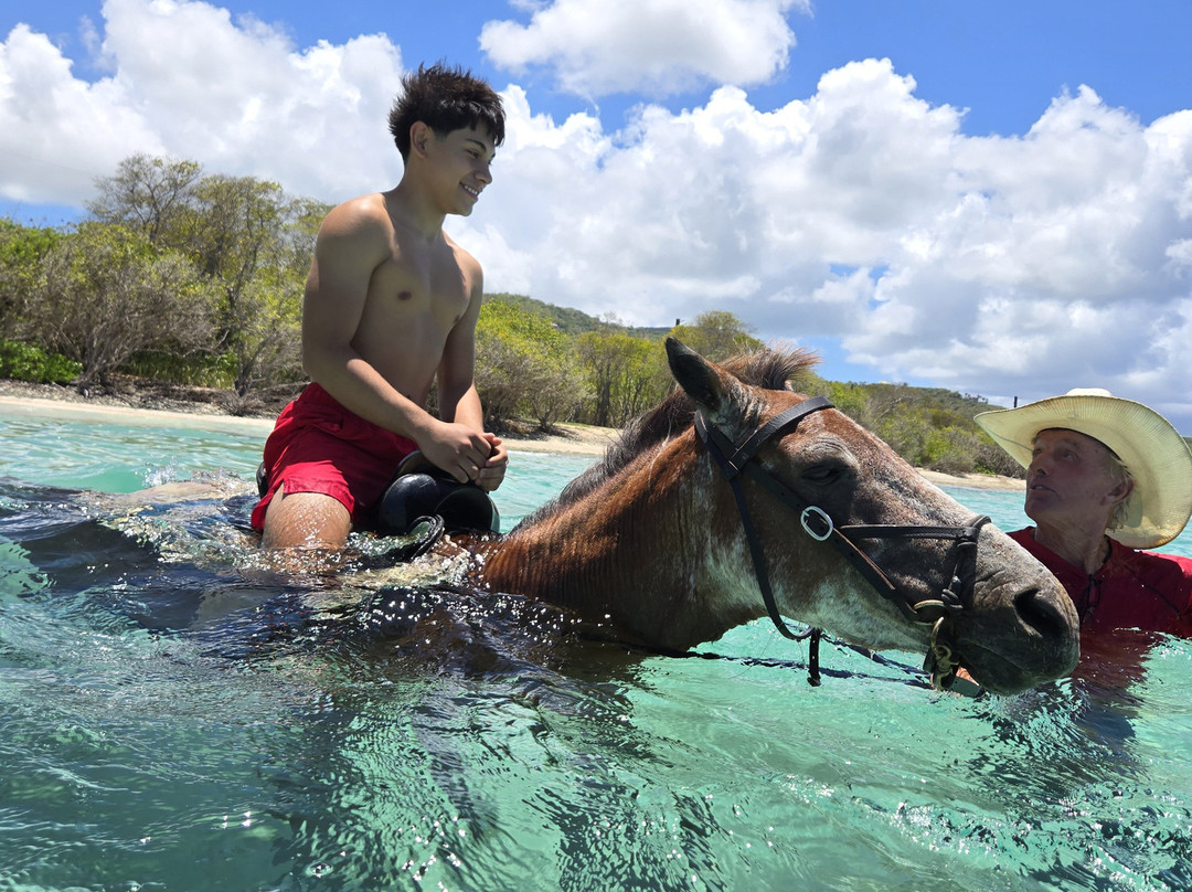 Equus Rides Horseback Riding St. Croix-Frederiksted必去景点