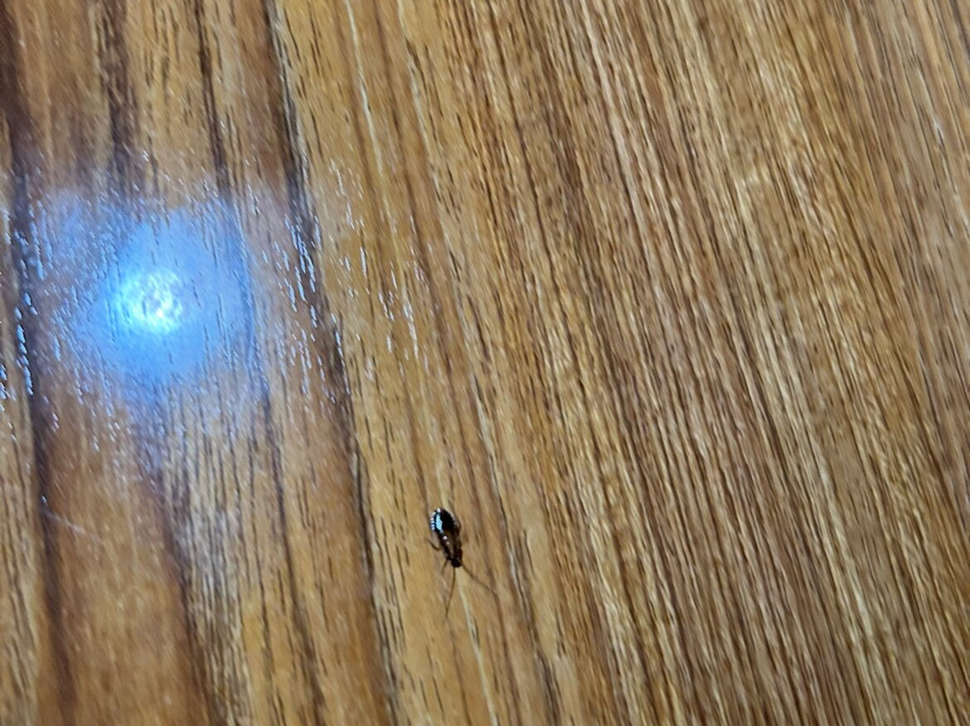 阿纳海姆沙漠套房酒店主图