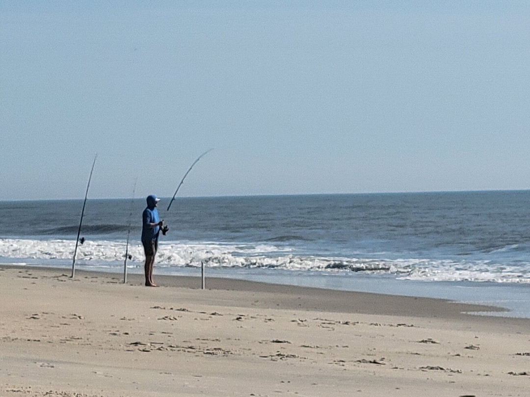Assateague Island NS-VA Unit