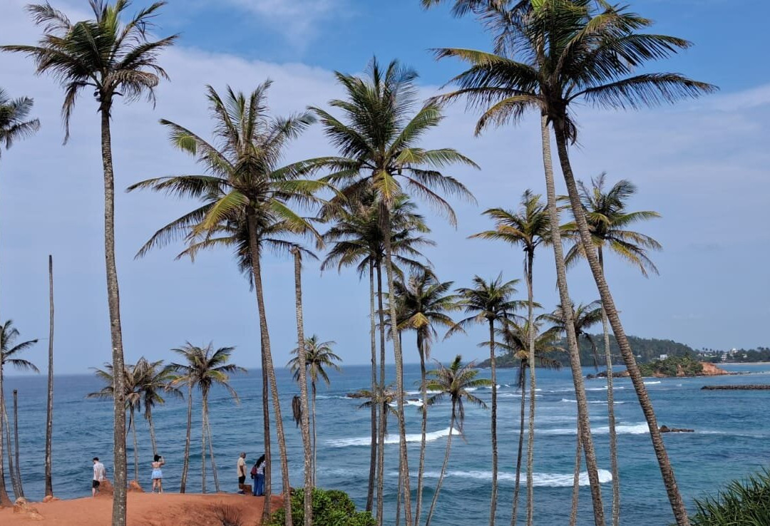 Coconut Tree Hill-美蕊沙必去景点