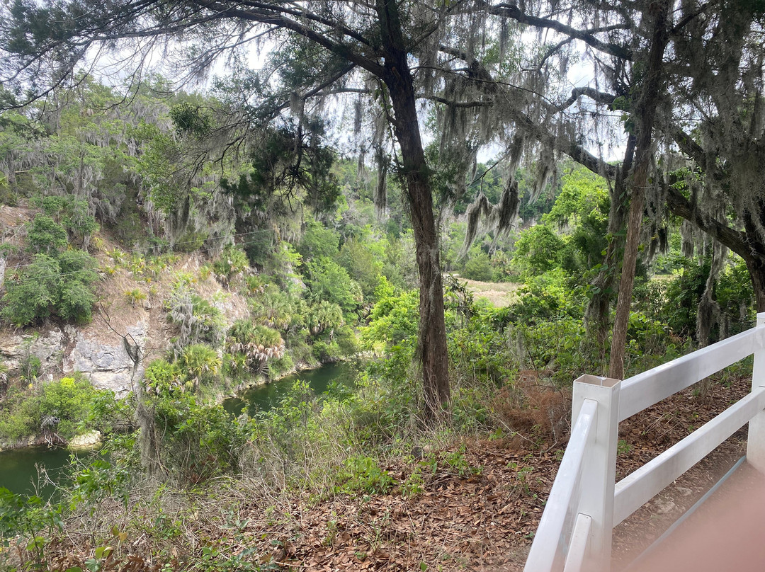 Canyons Zip Line & Canopy Tours-奥卡拉必去景点