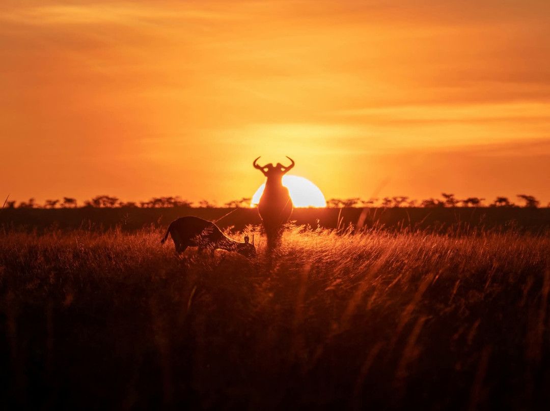 Okavango Delta-马翁必去景点