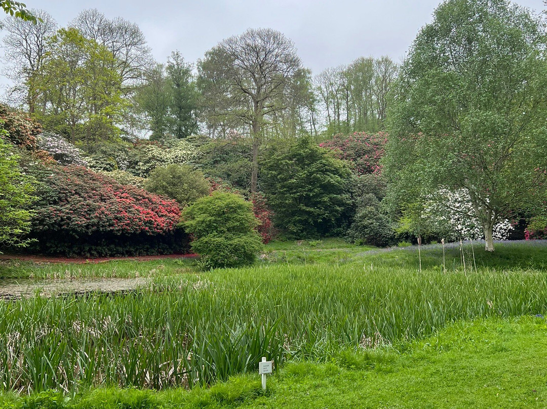 Lydney Park Estate-Lydney必去景点