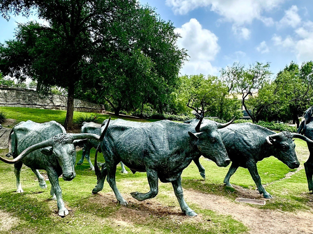 Dallas Cattle Drive Sculptures-达拉斯必去景点