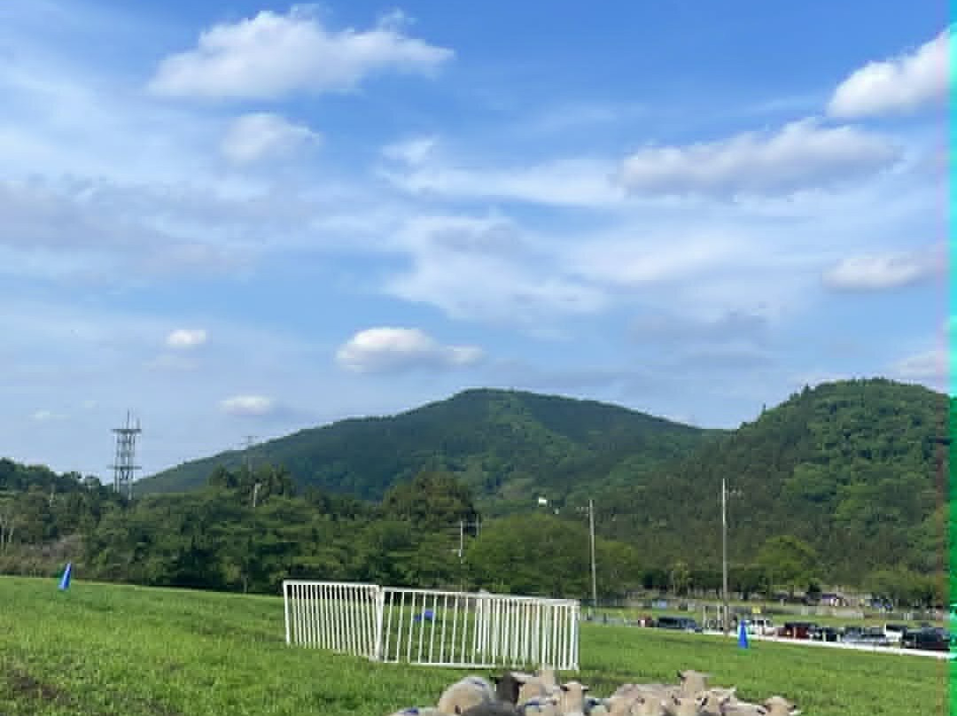 Hattori Ranch-爱川町必去景点