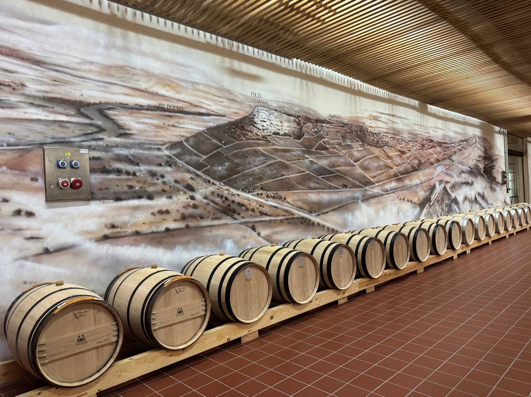 Pago de Carraovejas Winery-Penafiel必去景点