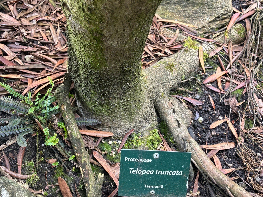 Pinetum Blijdenstein-Hilversum必去景点