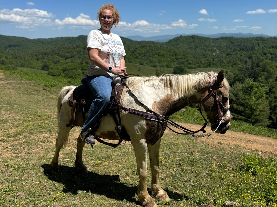 Smoky Mountain Trail Rides and Bison Farm-Marshall必去景点