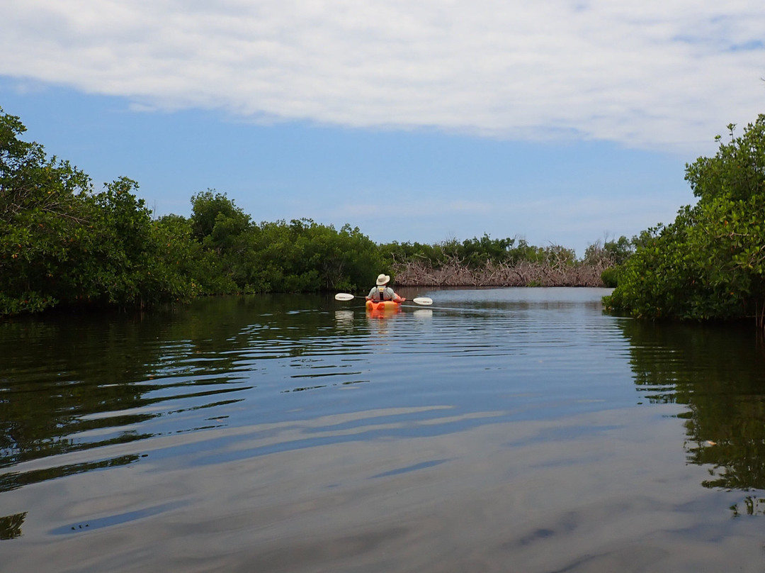 Gulf Coast Kayak-开普科勒尔必去景点