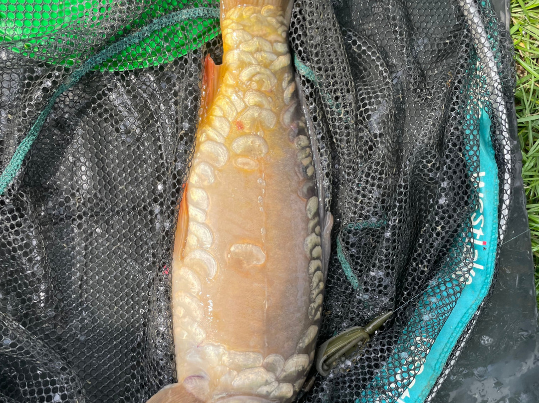 Burton Springs Fishing and Holidays-布里奇沃特必去景点